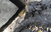 В Киеве у дороги прохожие обнаружили гранату
