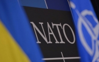 Вступление в НАТО: в Кабмине раскрыли планы Украины