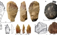 Ученые обнаружили орудия труда предков человека возрастом 700 тысяч лет