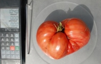 Россиянин обменял помидор на автомобиль