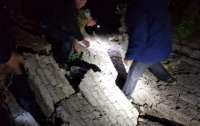 Жуткая смерть на Киевщине: подростка нашли под завалами