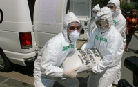 Активисты Greenpeace остановили работу ВР