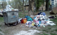Жители города жалуются на то, что потопают в мусоре