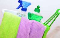 Аллерголог назвал важные правила при уборке дома