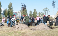 Прошла эко-акция «Купил машину? Посади дерево!»