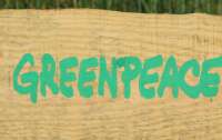 Greenpeace обвиняет: ФРГ нарушают правила экспорта вооружений