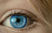 Ученые создали жидкий протез сетчатки глаза