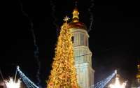 В Киеве возводят главный символ Нового года