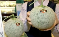 Две дыни в Японии продали за рекордные 27 тыс. долларов