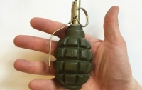 Две гранаты Ф-1 изъяли на блокпосту в Запорожской области