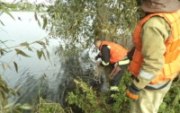 На Печерске в Киеве в озере утонул мужчина