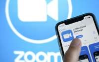 На Новый год видеозвонки по Zoom станут безлимитными