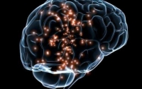 Ученые обнаружили разницу в активности мозга у 
