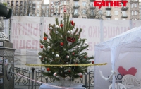 Сторонники Тимошенко решили нарушить запрет суда проводить пикет под колонией