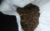 Полиция изъяла более 30 кг янтаря в Ривненской области