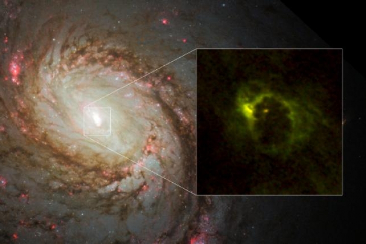 Ученые впервые получили снимок «бублика» вокруг черной дыры
