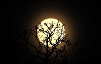 В конце января жители Земли смогут наблюдать три лунных явления в одни сутки