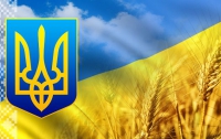 День независимости Украины 2014: что смотреть по ТВ