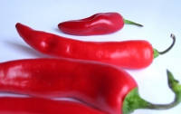 Сонным водителям выдают чилийский перец