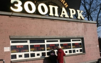 Дети Чернобыля смогут бесплатно сходить в Зоопарк