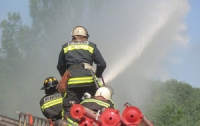 В лесах США погибло 19 пожарных