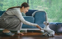 Питомца Sony Aibo можно будет купить в США в начале осени