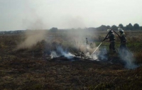 Под Киевом горит 4 торфяника