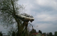 Разъяренные поляки затащили «Форд» автолихача на дерево