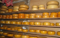 За 10 лет экспорта украинского сыра в Россию у нее не было претензий к продукции