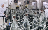 Винницкие налоговики изъяли 2 тыс. бутылок паленой водки