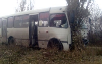 В Донецкой области пассажирский автобус протаранил дерево