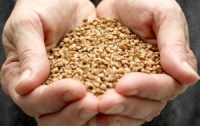 Снизить цены на гречку помогут китайцы