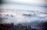 Лесные пожары в Индонезии угрожают соседним странам