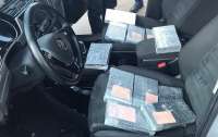 СБУ знайшла кокаїн в автівках, які йшли на продаж (відео)