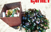 Киевские пляжи чистят спецмашины стоимостью по 50 тыс. грн. 
