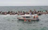 В оккупированном Крыму затонуло судно