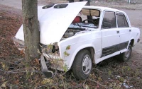 На Киевщине «семерка» вмялась в дерево. 4 человека погибли