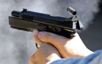 На Житомирщине пьяный мужчина выстрелил из револьвера тещу