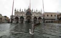 В Венеции объявят режим стихийного бедствия из-за наводнений
