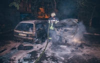 Две машины сгорели в масштабном пожаре в Киеве (видео)
