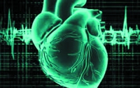 Ученые создали искусственное сердце