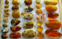 В прошлом году таможня изъяла около 6000 кг янтаря