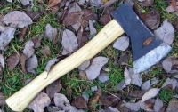 Убийцы зарубили 78-летнюю пенсионерку топором