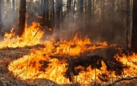 В Украине ожидается высокий уровень пожароопасности