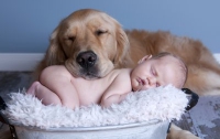 Домашние животные способны снизить риск развития астмы у ребенка – ученые