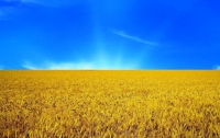 Украина собрала рекордный за четверть века урожай зерна