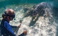 Туристы сняли на видео свое плавание с крокодилами