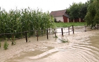 Закарпатская область пострадала от сильных ливней
