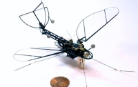 В Гарварде создали сверхлегкого миниатюрного летающего робота
