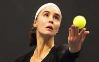 Ангеліна Калініна вийшла до півфіналу турніру WTA 250 у Руані